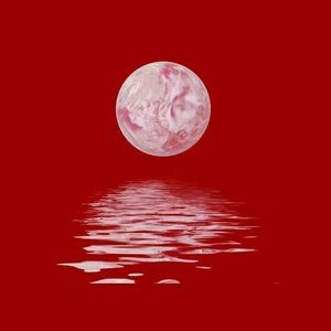 欧美重囗味脚奴vk
