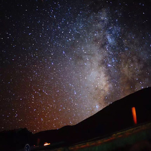 欧美重囗味脚奴vk
